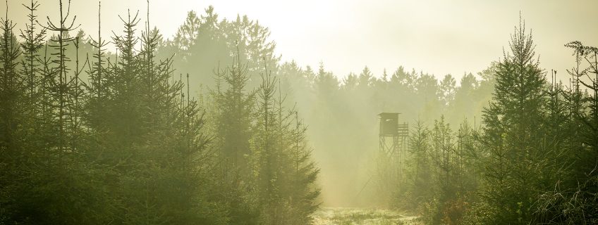 Fangschuss Faustfeuerwaffen Bei Der Jagd Jagd1