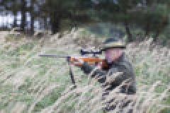 Einschießen, Anschießen und Übungsschießen im Revier – Was ist dem Jäger erlaubt?