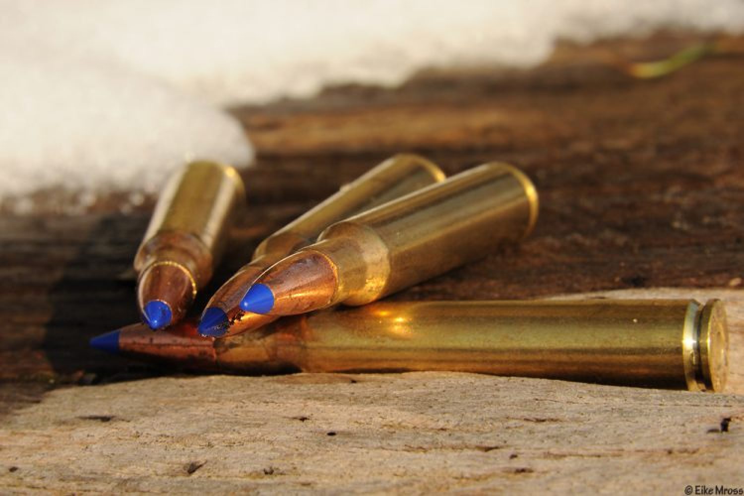 Auf Drückjagd mit bleifreier Munition – Ein Erfahrungsbericht