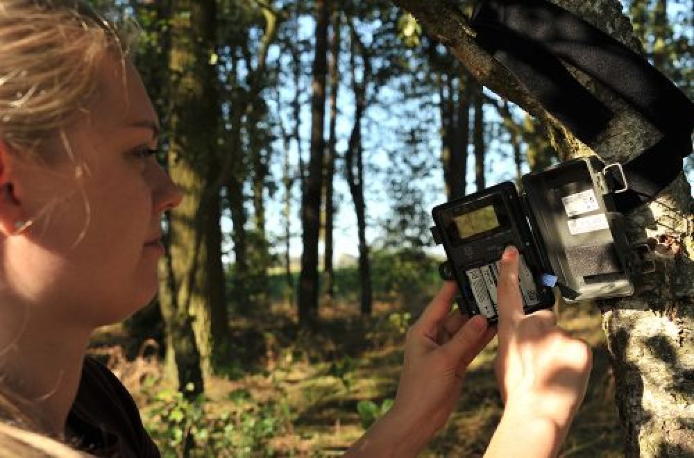 Die Wildkamera Waldkauz HuntersEye SC501E Trail-Kamera im Test