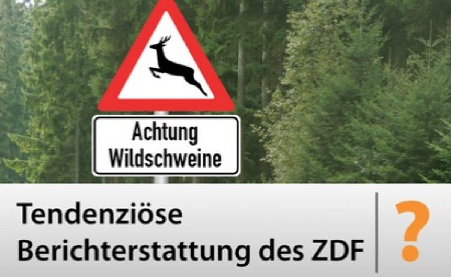 Unterstützt die Petition gegen tendenziöse Berichterstattung des ZDF!