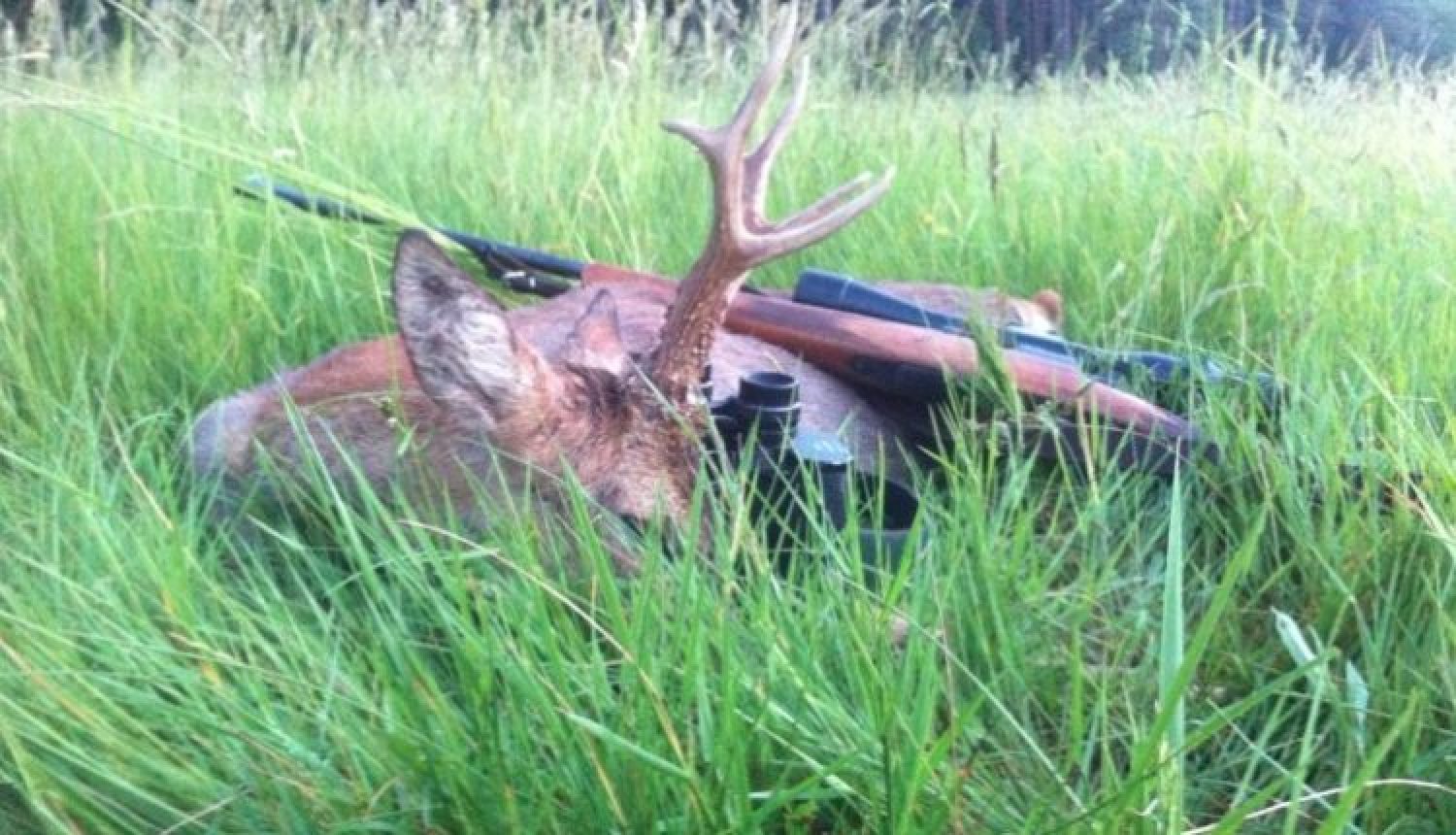 Fragen aus der Jägerprüfung zur Jagdausübung nach dem Schuss