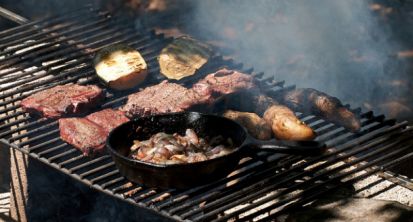 Beginn Der Grillsaison - Wild Auf Den Grill! | Jagd1