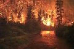 Waldbrandgefahr – Ein Funke bis zur Katastrophe
