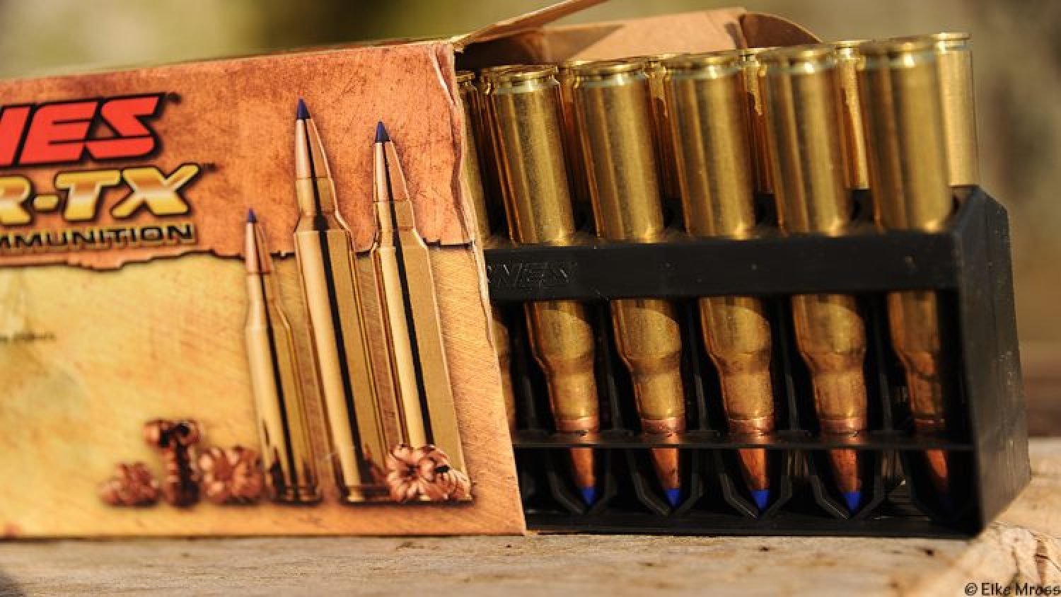 Bleifreie Bockjagd – Tipps zur bleifreien Munition