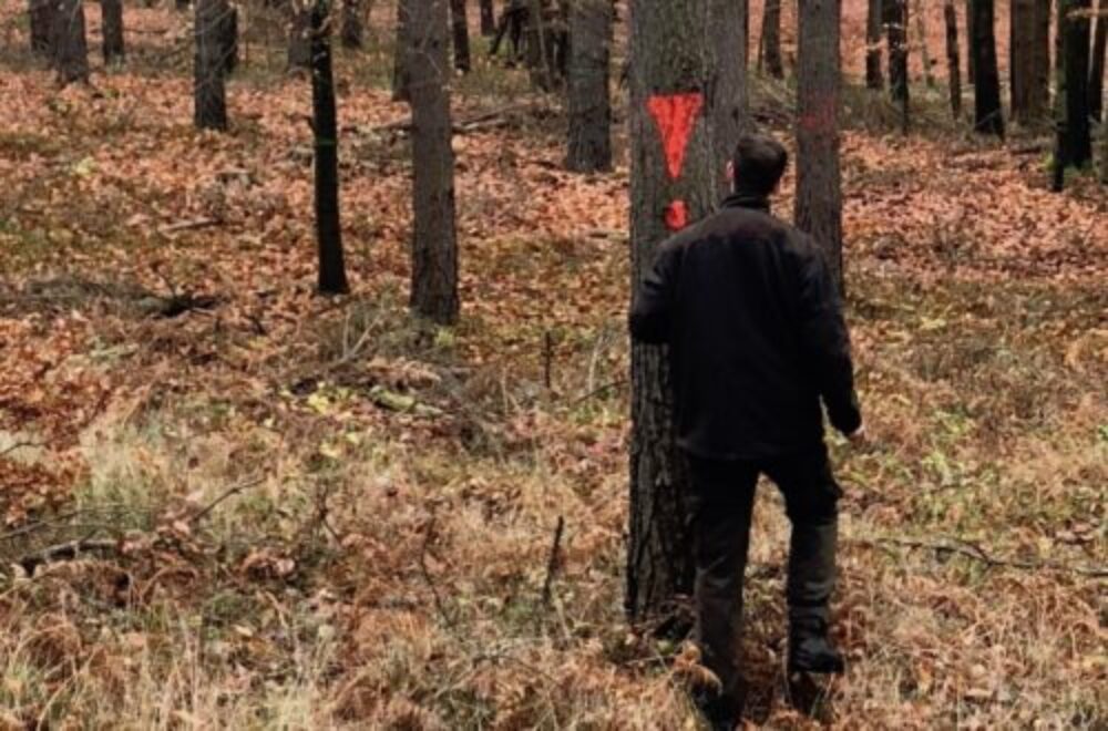 Auswertung & Planung der herbstlichen Drückjagd | Teil 2