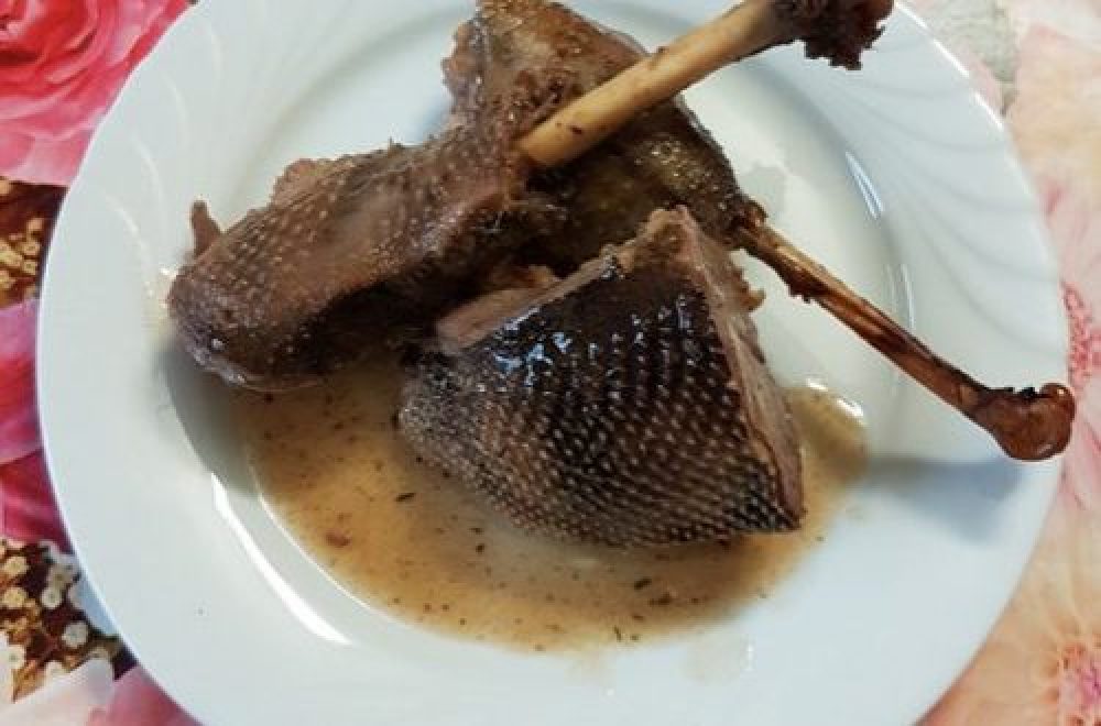 Wildgans im Schnellkochtopf und Backofen