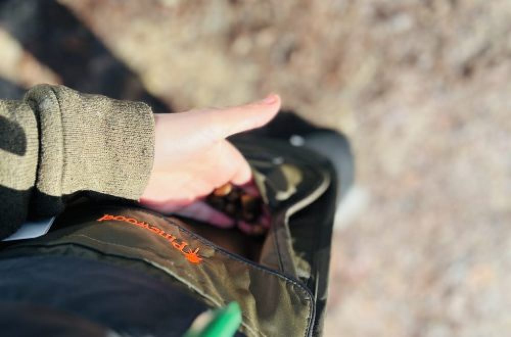 TESTBERICHT – HUNDETRAINING SET