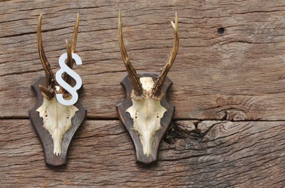 Wald- und Jagdrecht: rechtliche Grundlagen und Vorgaben