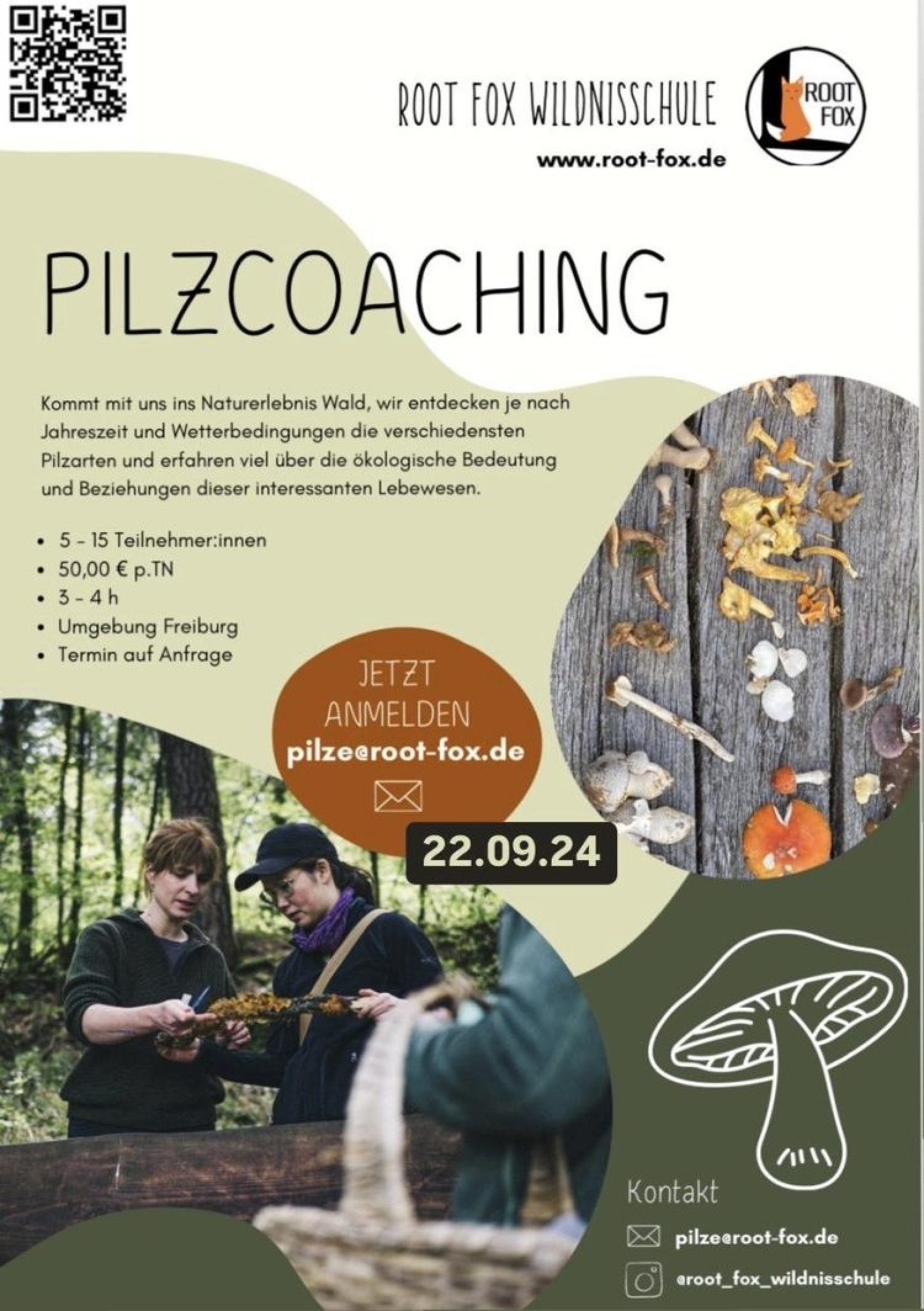 Pilzcoaching mit Root Fox am 22. September 2024 – Entdecke die Welt der Pilze